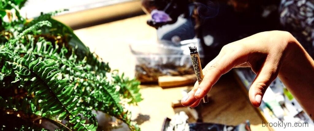 The 7 Best Cannabis Stores in Brooklyn