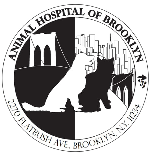 Animal Hospital of Brooklyn