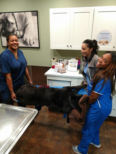 Brooklyn Veterinary Group