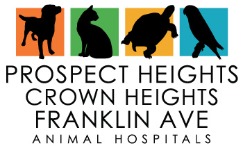 Crown Heights Animal Hospital