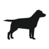 Doggie Styles Pet Grooming