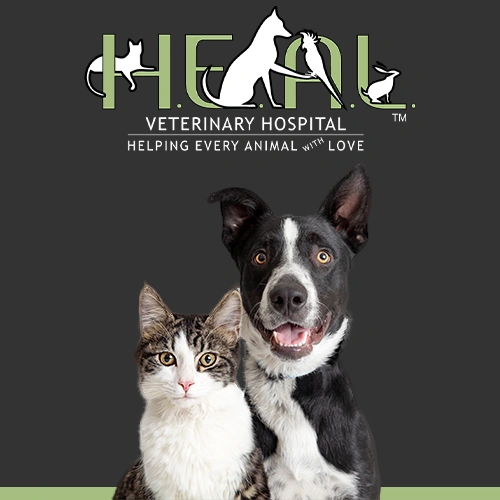 Heal Veterinary Hospital