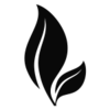 Les' Blooms Floral