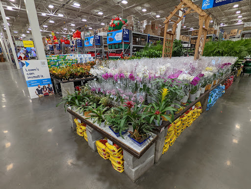 Lowe's Garden Center