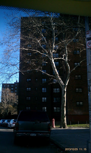 NYC Housing Authority