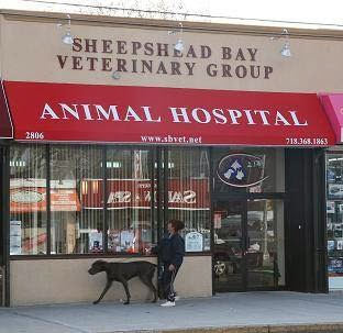 Sheepshead Bay Veterinary Group