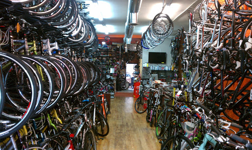 Verrazano Bicycle Shop